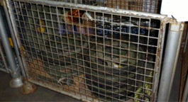 military tank parts for sale military tank parts for sale