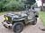 Jeep (20)